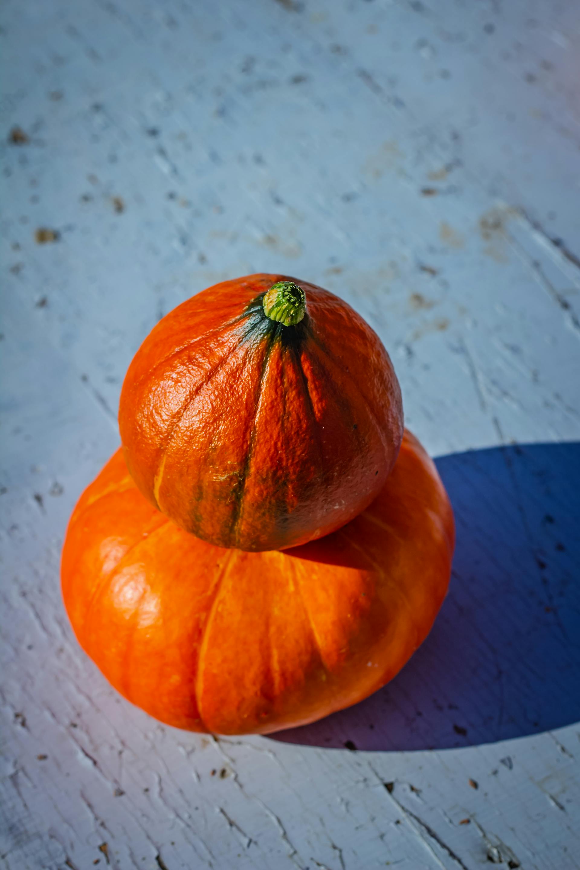 Légumes d'automne (courges, potimarrons, champignons) à préparer en batchcooking
