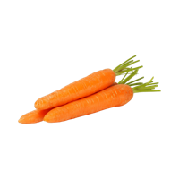 Carottes