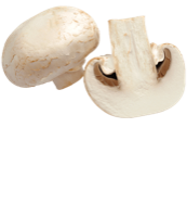 Champignons de Paris