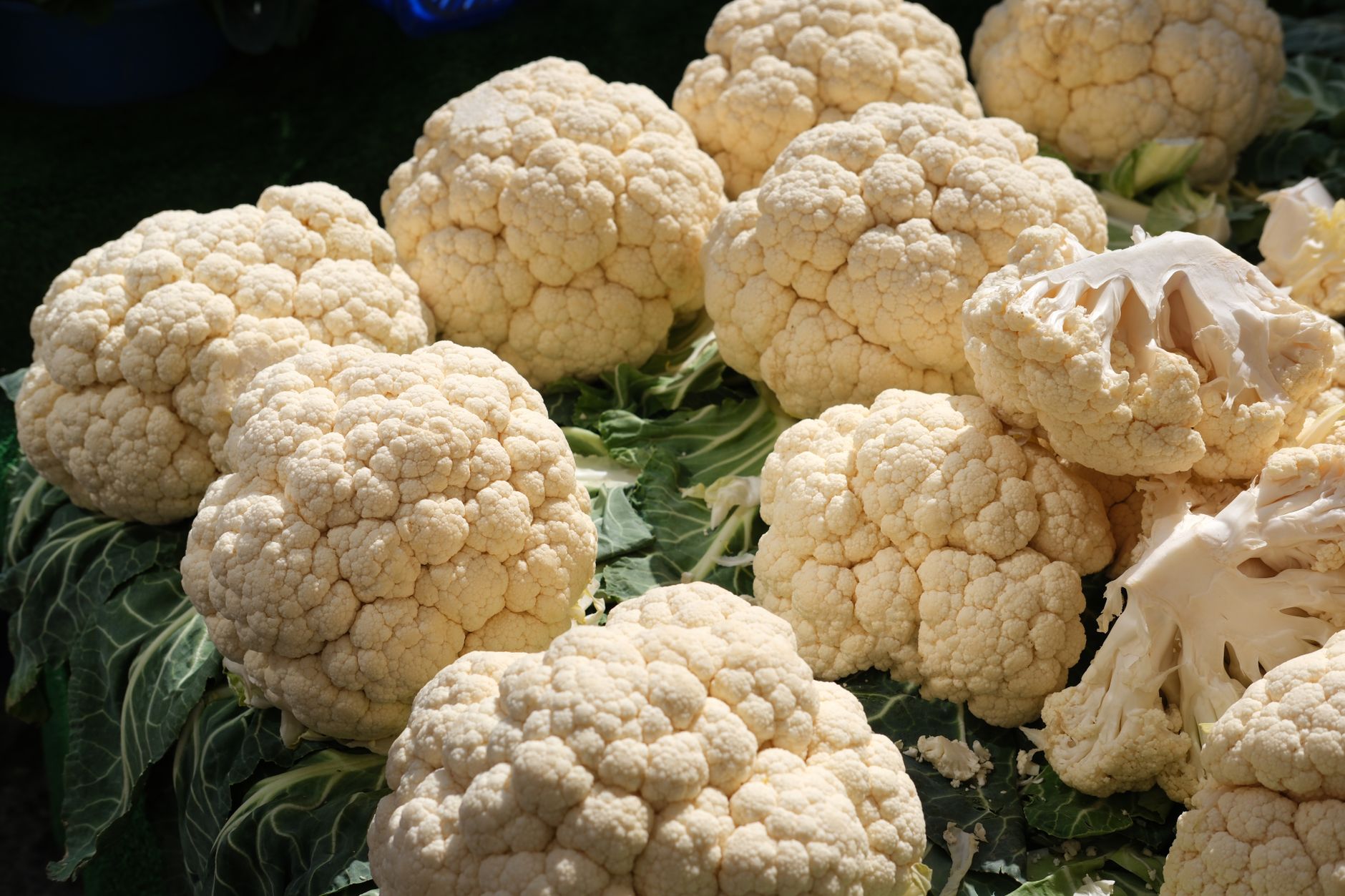 Têtes de chou-fleur frais présentées sur un étal de marché