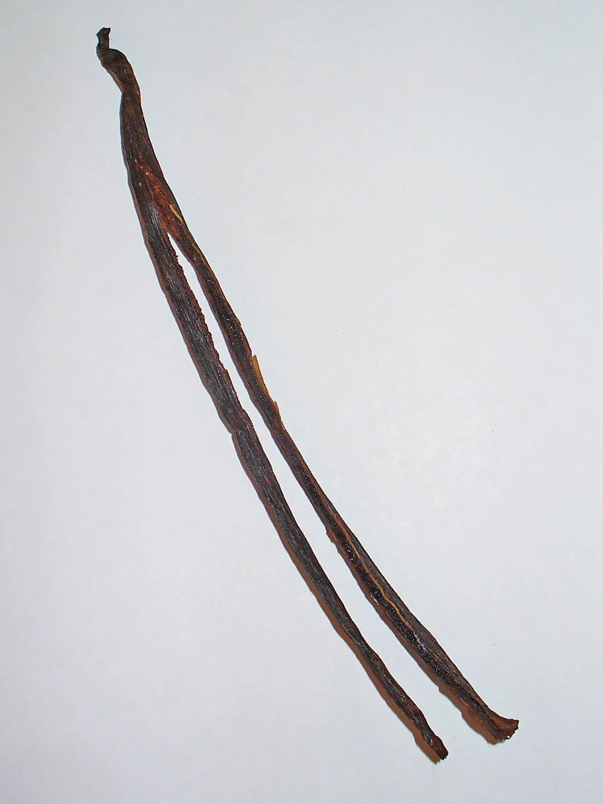 Comment conserver des gousses de vanille longtemps